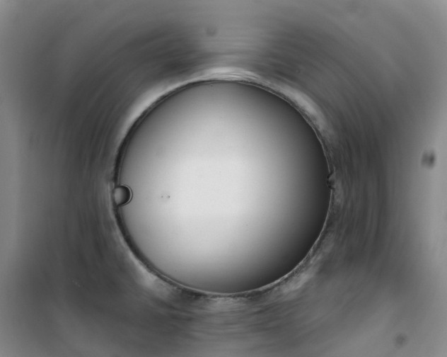 X0000101181430200807111105
