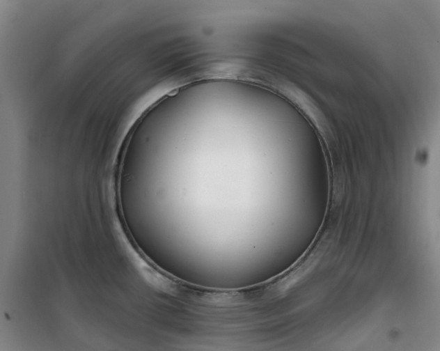 X0000101181434200807111105