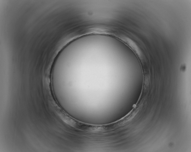 X0000101181435200807111105