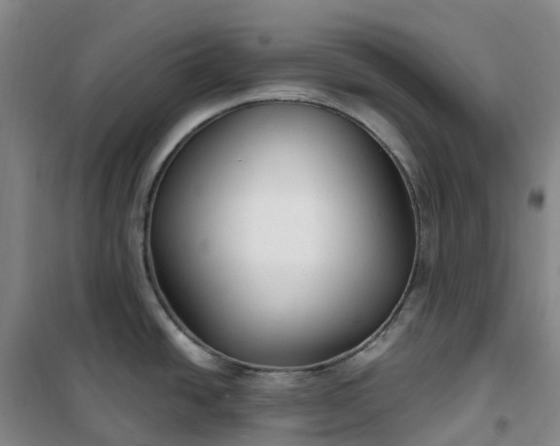 X0000101181438200807111105