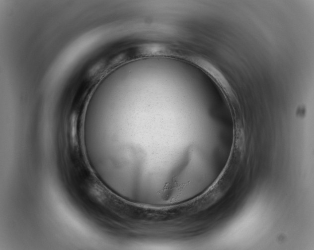 X0000101181439200807111105