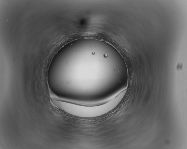X0000101181441200807111104