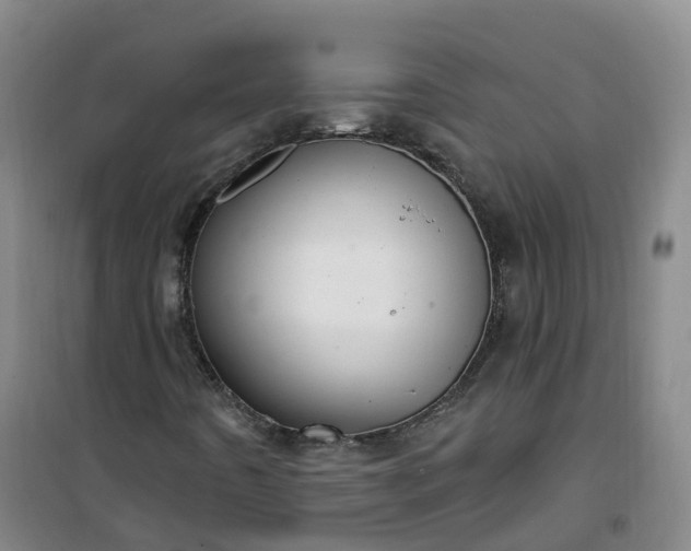 X0000101181442200807111104