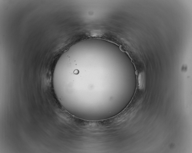 X0000101181443200807111104