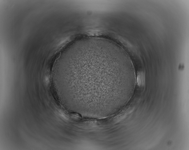X0000101181444200807111104