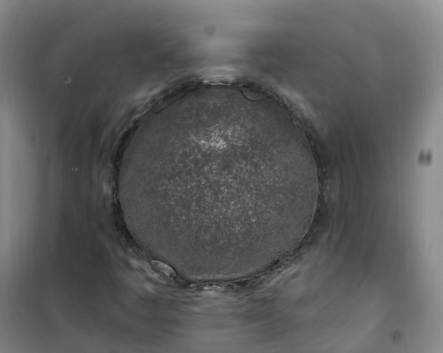 X0000101181445200807111104