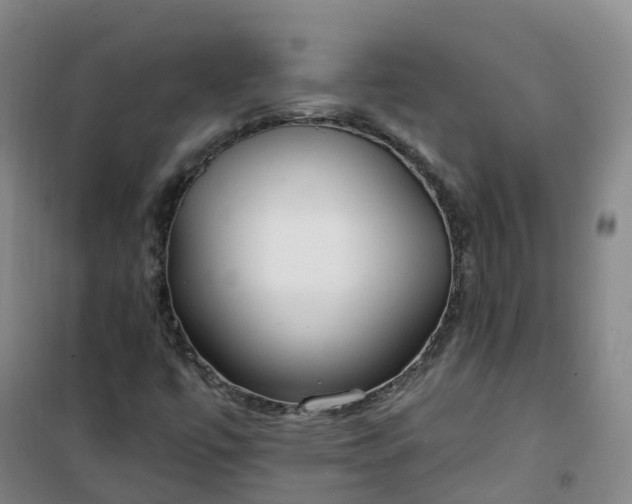 X0000101181447200807111104