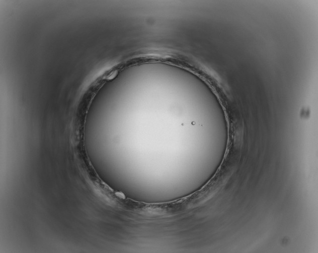 X0000101181448200807111104