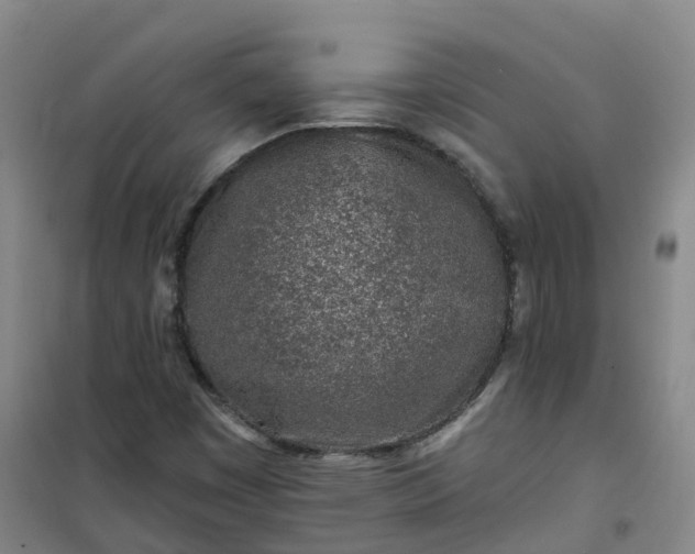 X0000101181449200807111104