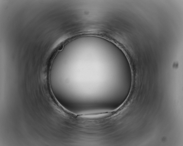 X0000101181450200807111104