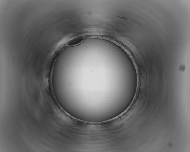 X0000101181451200807111104