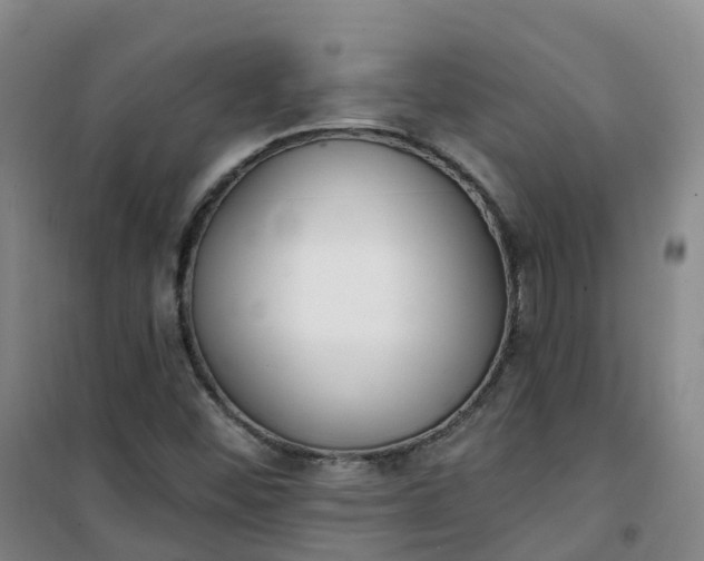 X0000101181452200807111104