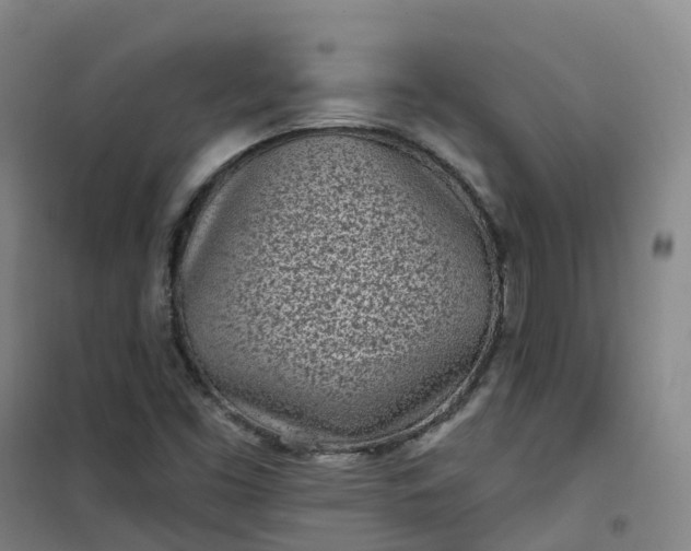 X0000101181453200807111104