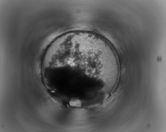 X0000101181455200807111104