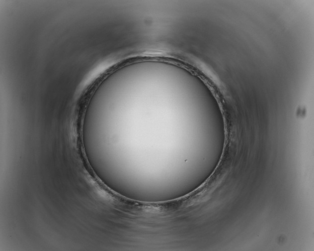 X0000101181456200807111104
