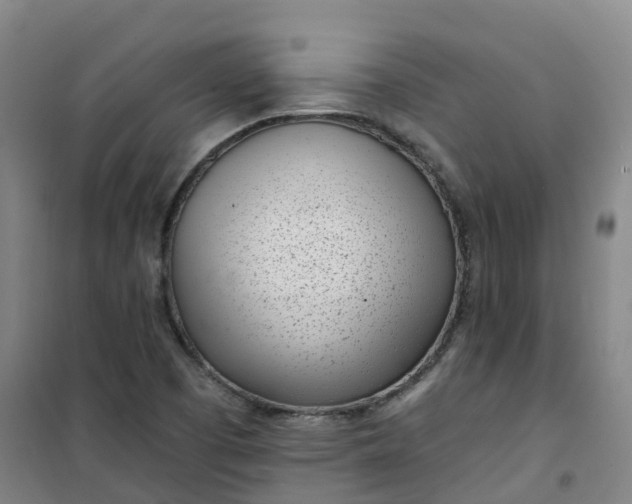 X0000101181457200807111104