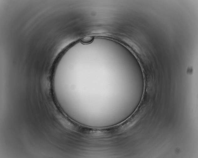 X0000101181458200807111104