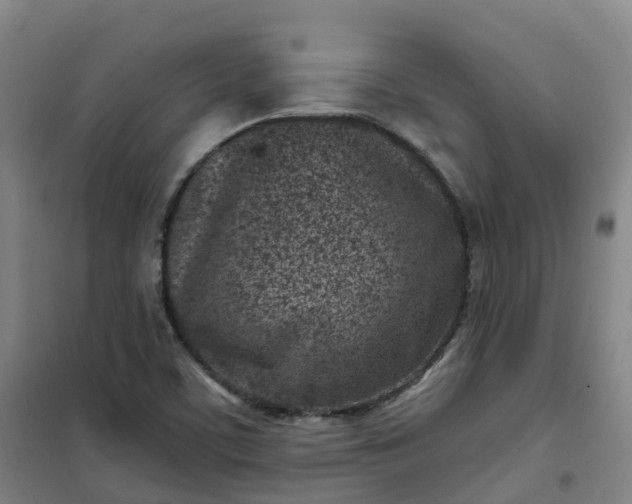 X0000101181459200807111104