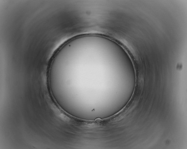 X0000101181460200807111104