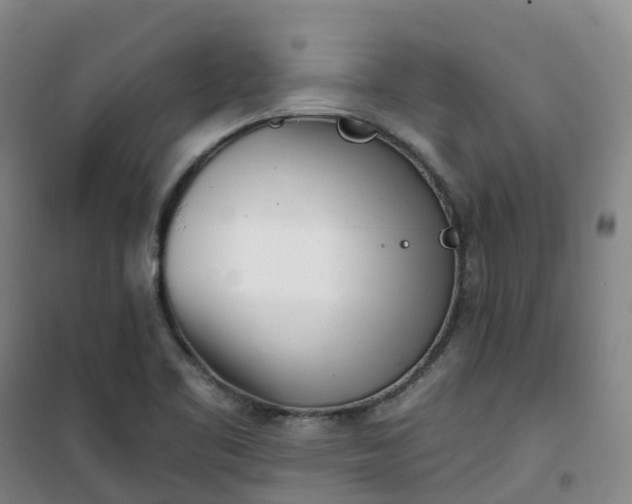 X0000101181461200807111104