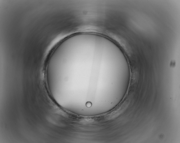 X0000101181462200807111104