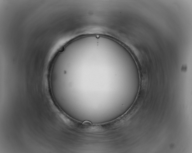 X0000101181464200807111104