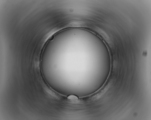 X0000101181465200807111104
