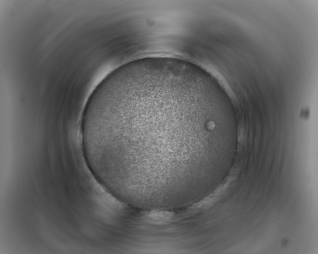 X0000101181466200807111104
