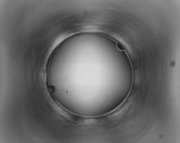 X0000101181467200807111104