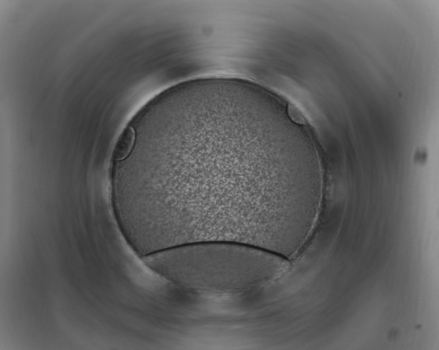 X0000101181468200807111104