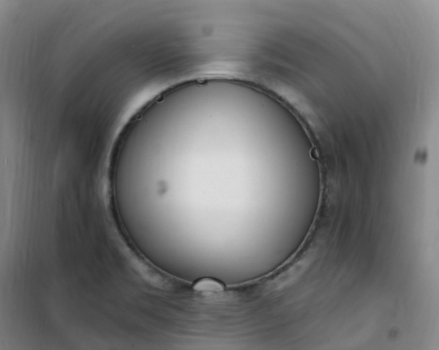 X0000101181469200807111104