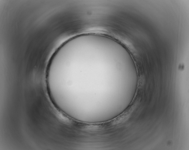 X0000101181470200807111104