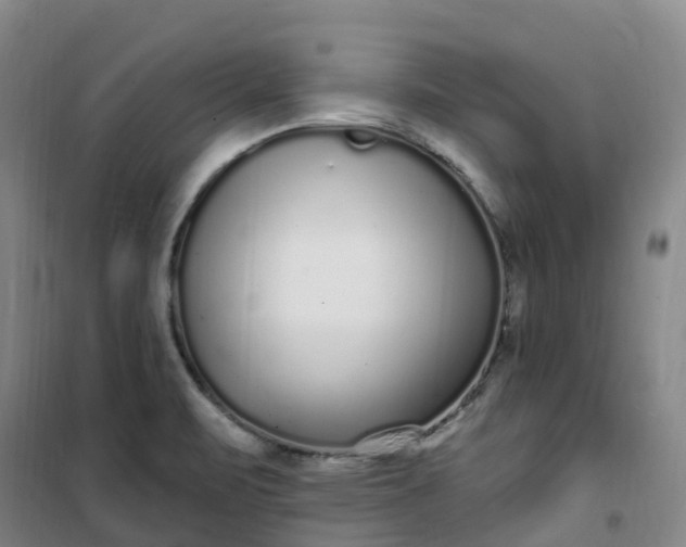 X0000101181471200807111104