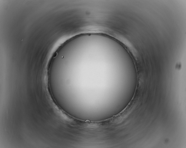 X0000101181472200807111104