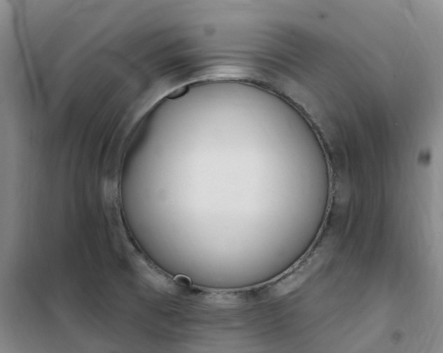 X0000101181473200807111104