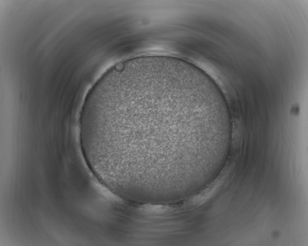 X0000101181474200807111104
