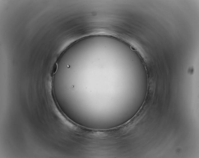 X0000101181476200807111104