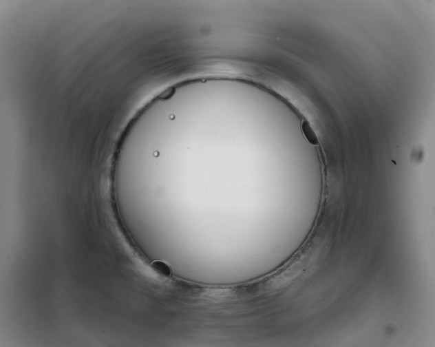 X0000101181477200807111104