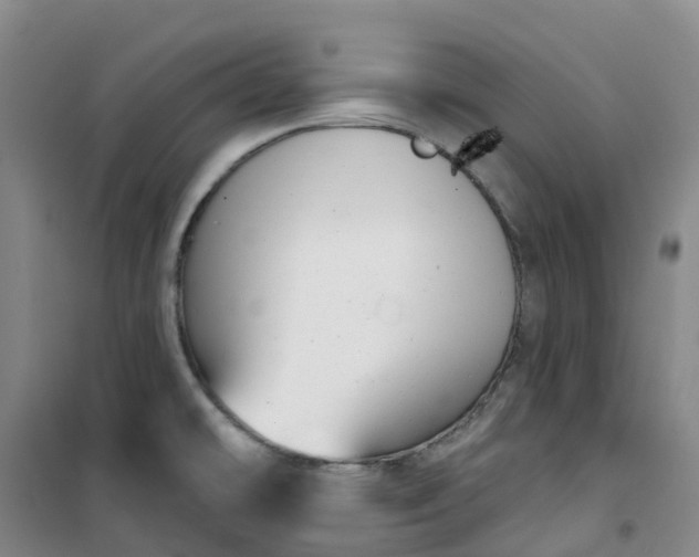 X0000101181478200807111104