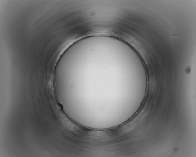 X0000101181481200807111104
