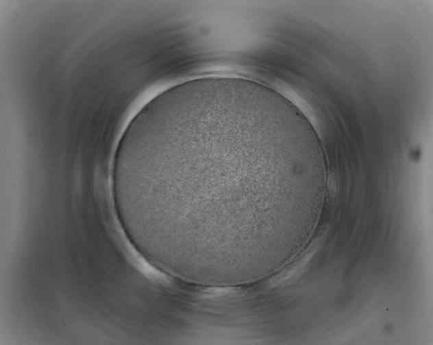 X0000101181482200807111104