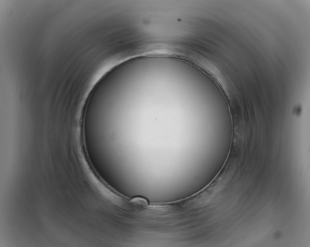 X0000101181483200807111104