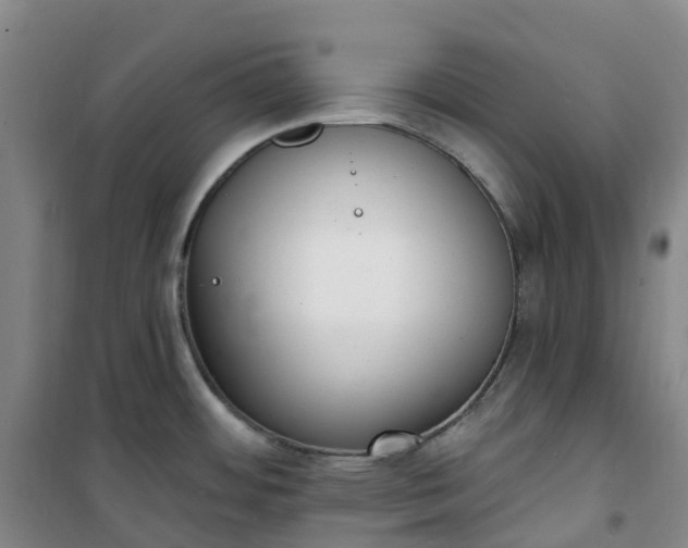 X0000101181484200807111104