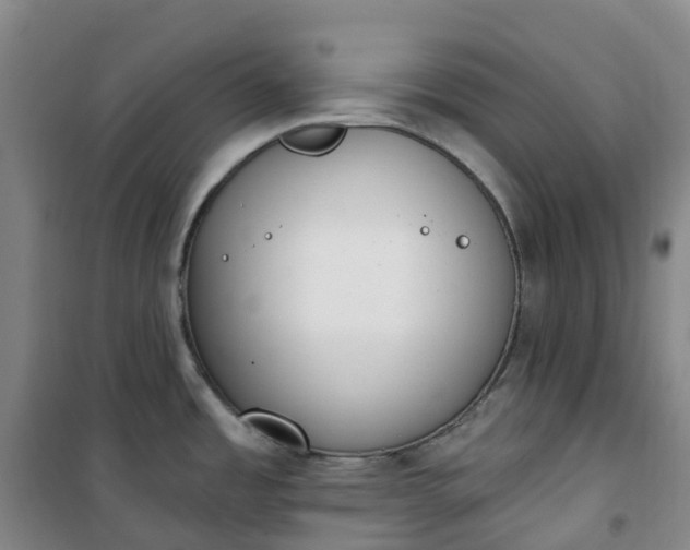 X0000101181485200807111104