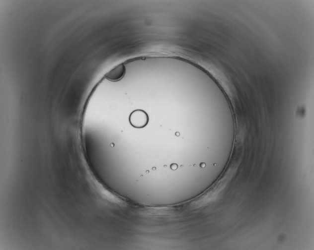 X0000101181486200807111104