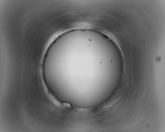 X0000101181488200807111104