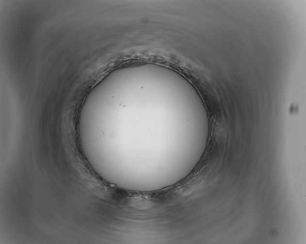 X0000101181489200807111103