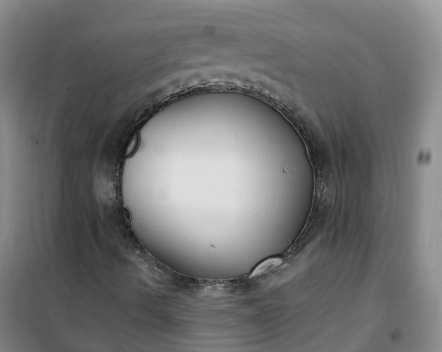 X0000101181490200807111103
