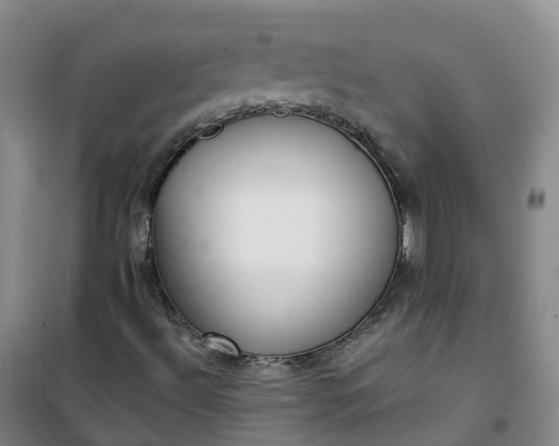 X0000101181492200807111103