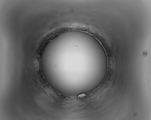 X0000101181493200807111103